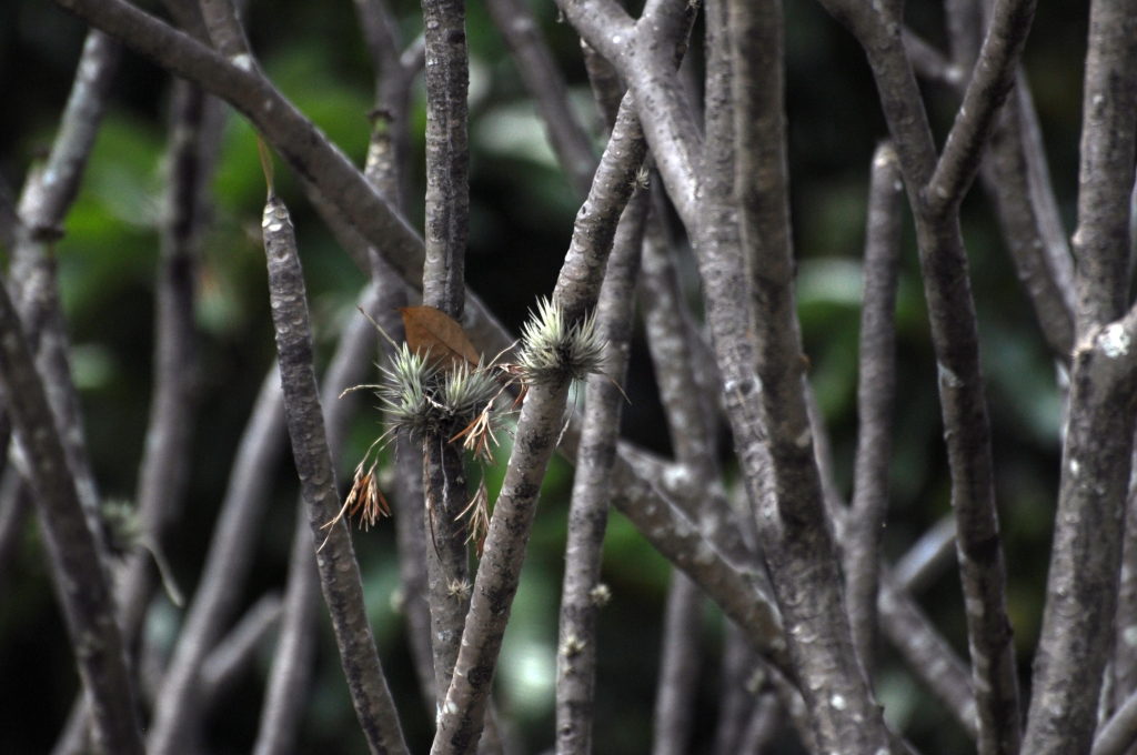 9 - Imagens do CEU.jpg
